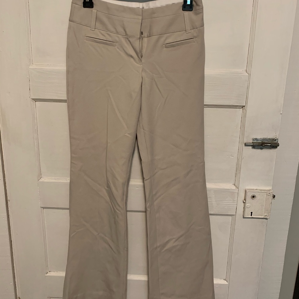 Express dress pants